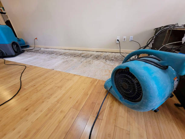 Professional Water Damage Repair technician working in Section, AL