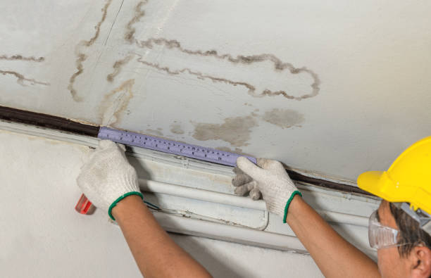 Affordable Water Damage Repair solutions in Section, AL